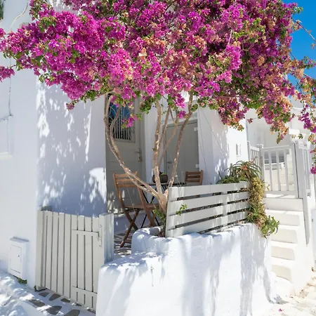 Eleanna's Mykonos מלון 5*